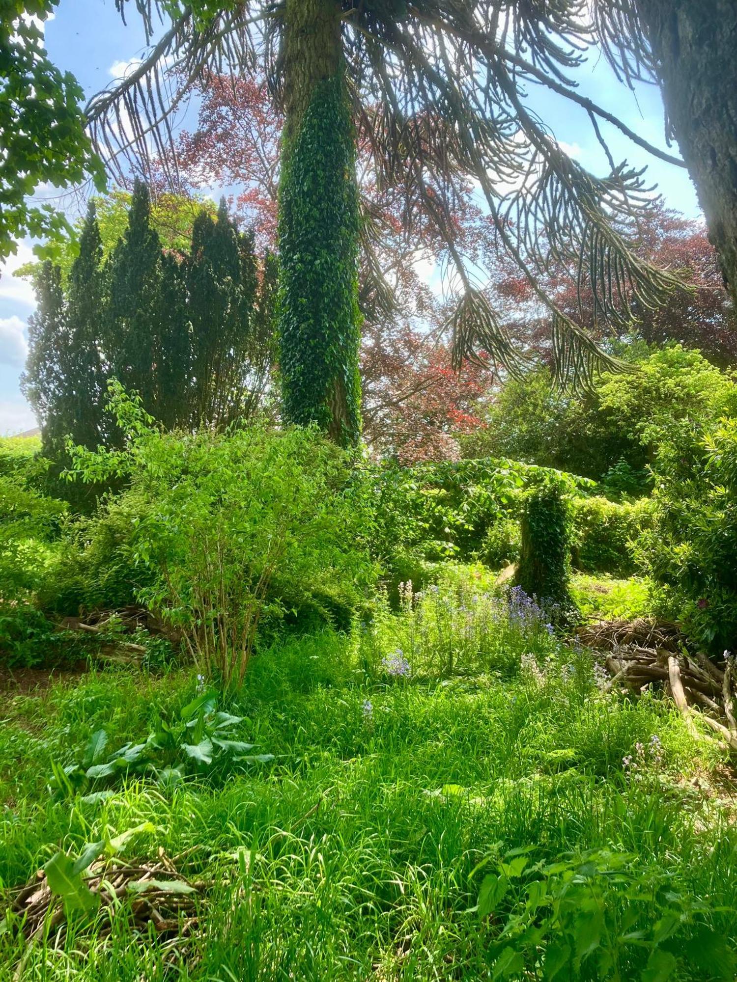 Above & Beyond At Warriston * Moffat