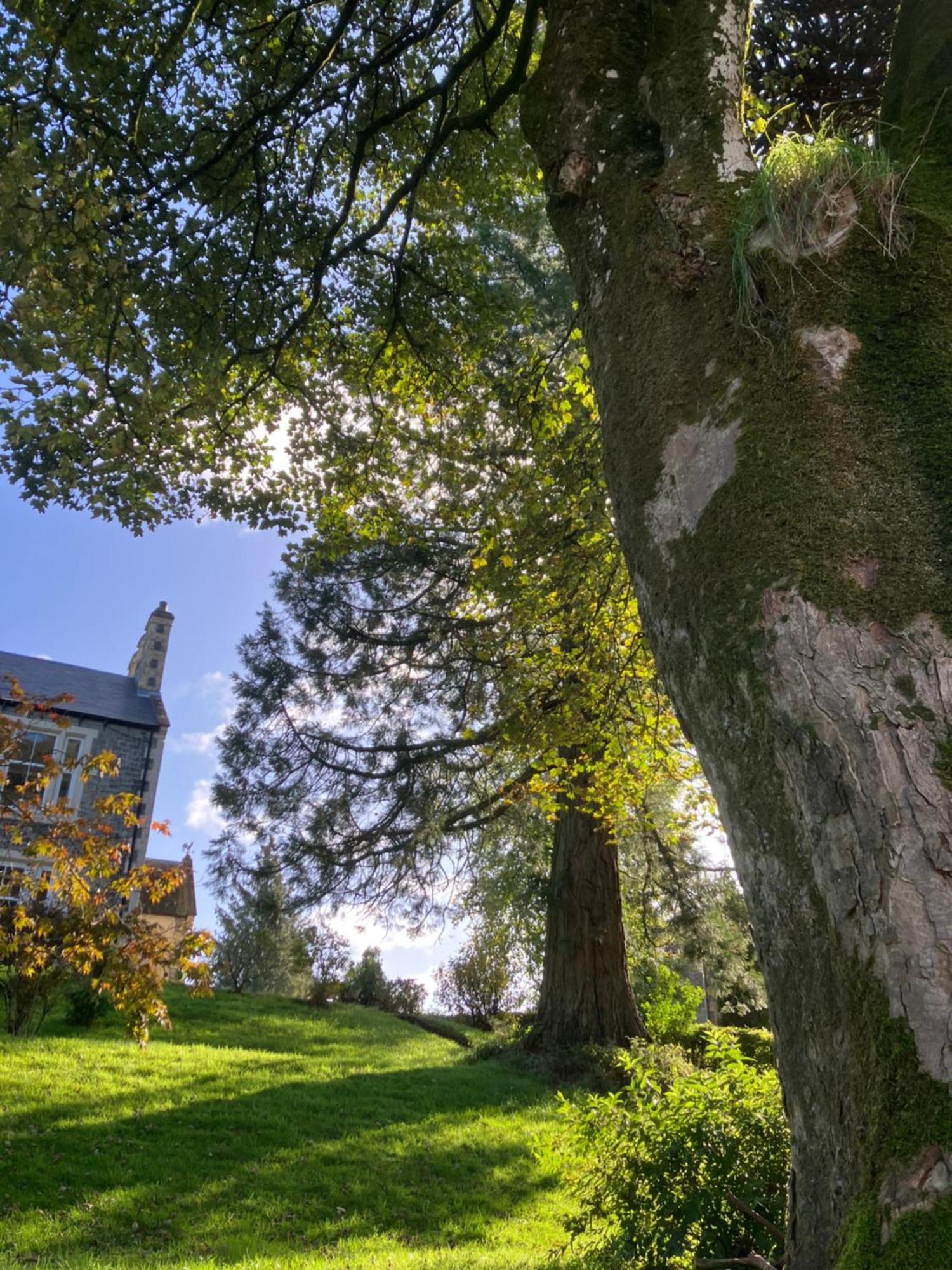 Above & Beyond At Warriston *